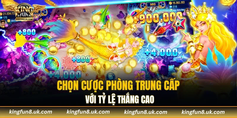 Chọn cược phòng trung cấp với tỷ lệ thắng cao