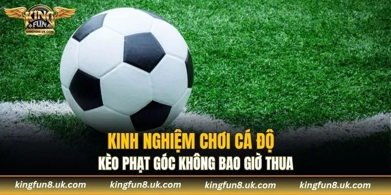 Kinh nghiệm bắt kèo cược phạt góc không bao giờ thua