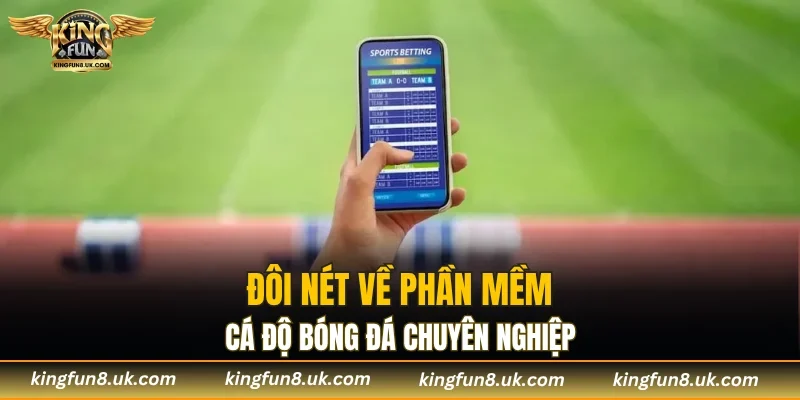 Phần mềm cá độ giúp đạt hiệu quả cao